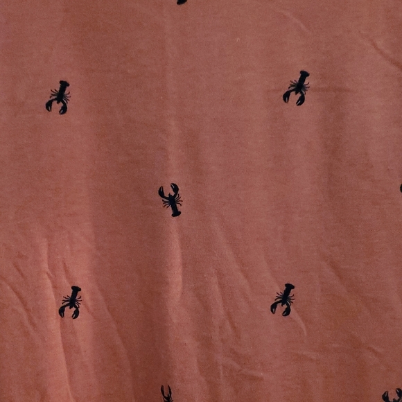 Old Navy Men's Rust Graphic Tee With Lobsters - Picture 5 of 5